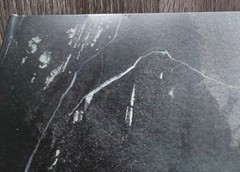 Agalloch – Marrow of the Spirit 2x LP Picture Disc(Sleeve Print Edition ltd.250)