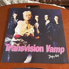 TRANSVISION VAMP POP ART (12″ X 12″ 1 SIDED USA PROMO FLAT WENDY JAMES LP Poster