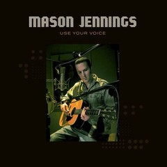 USE YOUR VOICE NEW VINYL RECORD