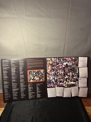 Speak English or Die (30th Anniversary Edition Reissue) by S.O.D. (Record, 2022)