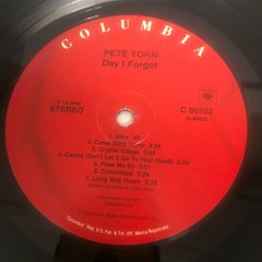 PETE YORN – DAY I FORGOT – ORIGINAL 2003 LP ON COLUMBIA Records C-86922 -(RK875)