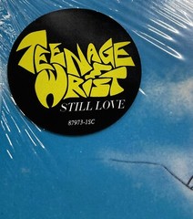 Teenage Wrist – Still Love LP On Vinyl Alternative Rock In Gatefold Cover