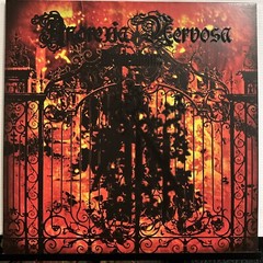 Anorexia Nervosa – Drudenhaus LP 2023 Osmose Productions – OPLP094 [BLACK] NM