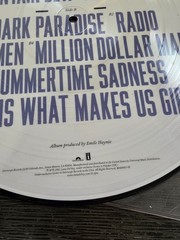 Lana Del Rey Born to Die Picture Disc Vinyl LP RSD 2013 US Edition