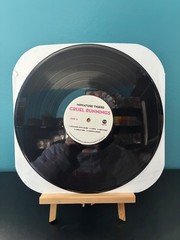 Miniature Tigers “Cruel Runnings” LP/Yebo Music YEBO 2014
