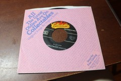 THE HOLLYWOOD ARGYLES ALLEY-OOP / THE CASTAWAYS LIAR LIAR 45 RPM RECORD
