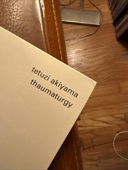 Tetuzi Akiyama – Thaumaturgy (Vinyl LP – 2020 – EU – Original)