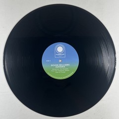 Devon Williams “Euphoria” LP/Slumberland (NM) 2011