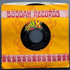 Capt Groovy And His Bubble Gum Army / Bubblegum March, 7″ 45rpm,Promo, Vinyl NM