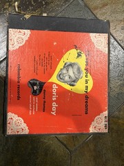 Doris Day Album Vinyl I’ll See You In My Dreams Warner Bros