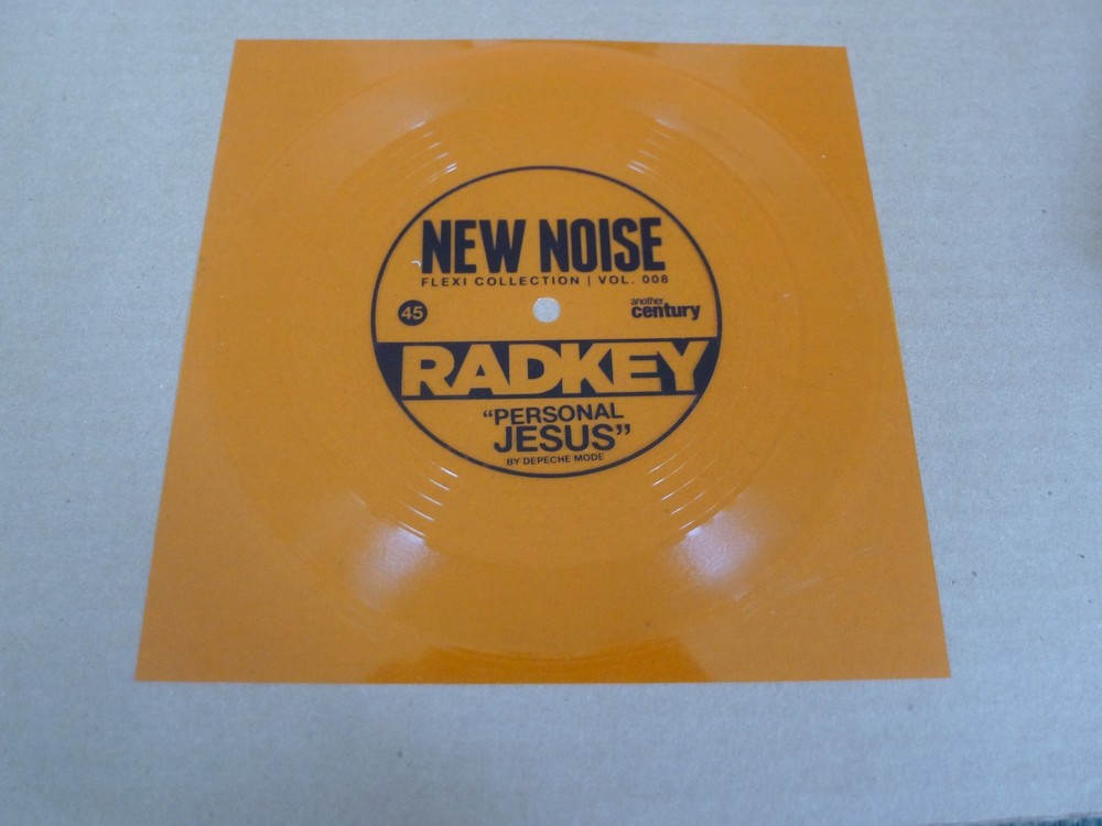 RADKEY vinyl FLEXIDISC punk FLEXI record 2016 new noise INDIE emo