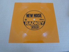 RADKEY vinyl FLEXIDISC punk FLEXI record 2016 new noise INDIE emo