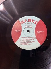 THE GOINS BROTHERS / SELF TITLED REBEL RECORDS VINYL LP 139-40W/ 1975 EX