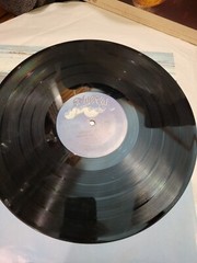 JOHNNY WINTER NOTHIN’ but THE BLUES – VINYL RECORD LP