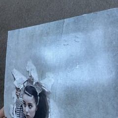 Lady Sovereign – Public Warning! Vinyl Record FIRST US Pressing 2006 9-5