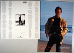 Sting – The Soul Cages (1991) Vinyl LP • IMPORT • All This Time