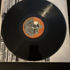 DJ Shadow – The Private Press. 2LP Vinyl 2002