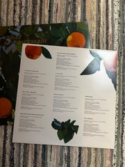 Lana del ray VINYL BUNDLE includes born to die and violet bent backwards vinyl