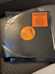 RARE CAM’RON S.D.E. 2xLP Hip Hop 2000 Original Press DOUBLE Vinyl 🔥🔥🔥 VG