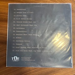 Isaiah Rashad Cilvia Demo Vinyl 2 LP Record Bootleg Unofficial