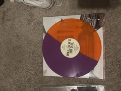 Wallows Model LP 12″ Colored Vinyl Orange Purple Split Atlantic Rock Record