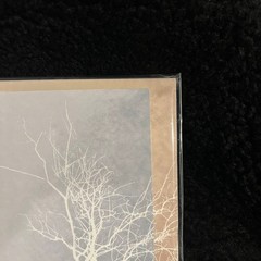 AFI – Decemberunderground IVC Edition – [New, Perfect Mint, Ships Double Boxed]