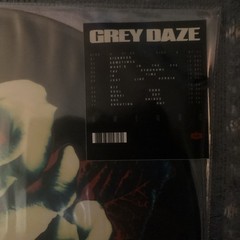 Grey Daze Amends Picture Disc Vinyl LP Multicolor Plastic Slipcover