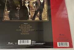 BON JOVI – Greatest Hits Tiger Eye Colored Vinyl Ltd Edition Sealed Runaway NEW