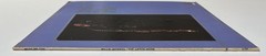 WILLIS JACKSON The Gator Horn — 1979 Muse LP