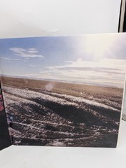 Two Gallants – The Throes 2006 1st Press 2x LP Vinyl VG+ Limited 2000 Copies