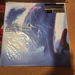 FLESHWATER 2000: In Search Of The Endless Sky Pink Marble Vinyl Limited to /500