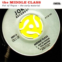 THE MIDDLE CLASS Out Of Vogue LP PUNK ROCK Hardcore REISSUE Opaque Purple Vinyl