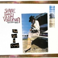 Stevie Ray Vaughan – Sky Is Crying [New Vinyl LP] 180 Gram, Holland – Import