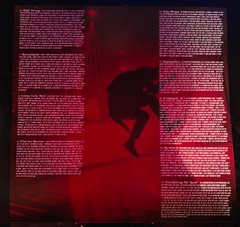 A Day To Remember – You’re Welcome (Red Apple Vinyl LP 2021, Limited Edition)
