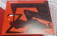 Mudhoney / Meat Puppets Warning One of These Days RSD 2021 7″ Translucent Vinyl