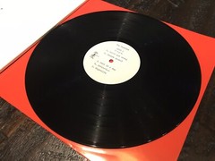 THE MUSLIMS s/t LP Vinyl-The Soft Pack Bass Drum Of Death Wavves The Orwells