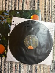 Lana del ray VINYL BUNDLE includes born to die and violet bent backwards vinyl