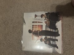 Wallows Model LP 12″ Colored Vinyl Orange Purple Split Atlantic Rock Record