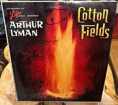 Arthur Lyman LP 12 Vinyl Record Hawaiian Jazz Marimba Vibraphone Exotica RARE