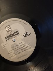 Common – One Day It’ll All Make Sense LP US 1997 Relativity 88561 1535-1 VG+