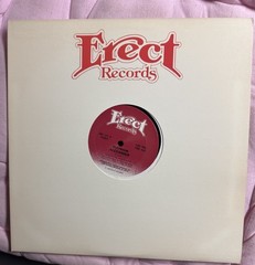 *VERY RARE* Alexander O’Neal ~ PLAYROOM & DO YOU DARE? ON ERECT RECORDS 1982