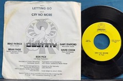 DESTINY LETTING GO/ CRY NO MORE~NM-1981 PHX AZ PRIVATE LABEL ROCK PICTURE SLEEVE