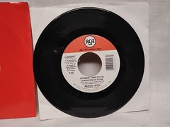 Aaron Tippin Everything I Own 45 RPM RCA Records Label 64544-7 1996