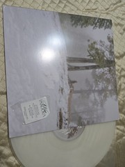 Wisp – Pandora (MILKY CLEAR VINYL)
