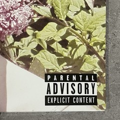 Nicole Dollanganger Natural Born Losers Deluxe Flower & Blood Vinyl 2LP Sealed