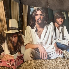 Eagles- Hotel California Black Vinyl LP Vintage Classic Rock Album WITH POSTER!