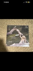 Wisp if not winter (live recordings acoustic demos) RSD EXCLUSIVE