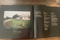 Durand Jones – Wait Til I Get Over (LP, Album, Ltd, Blu) (Mint (M)) – 3393702786