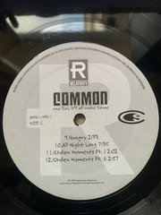 Common – One Day It’ll All Make Sense LP US 1997 Relativity 88561 1535-1 VG+