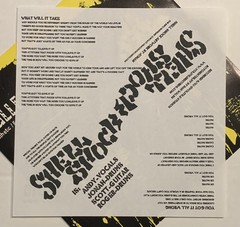 BULLET TREATMENT / SHELL SHOCK 7” Green Vinyl-The Bronx Social Distortion Drips